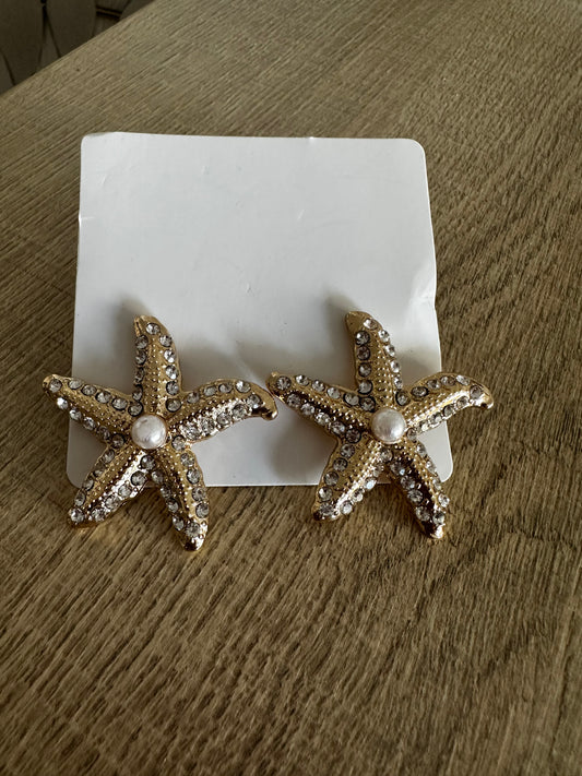 Boucles d’oreilles, étoile de mer en acier inoxydable