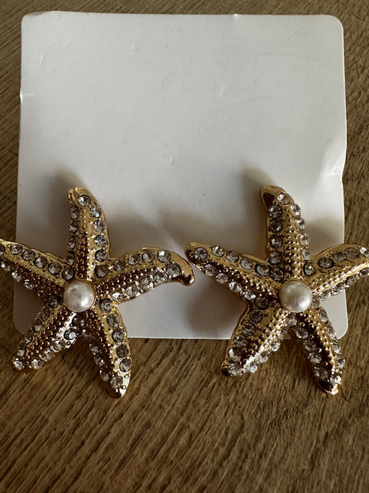 Boucles d’oreilles, étoile de mer en acier inoxydable