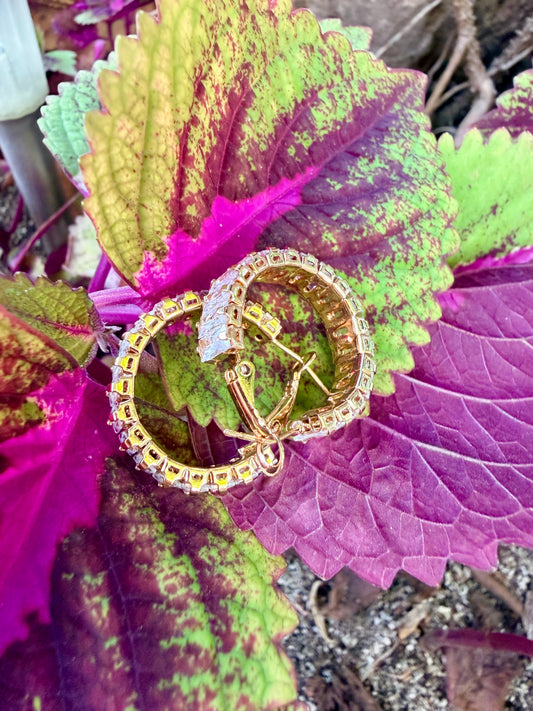 BO, acier, inoxydable, doré, oxyde de zirconium