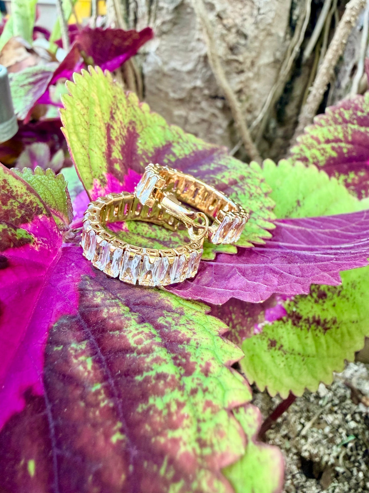 BO, acier, inoxydable, doré, oxyde de zirconium